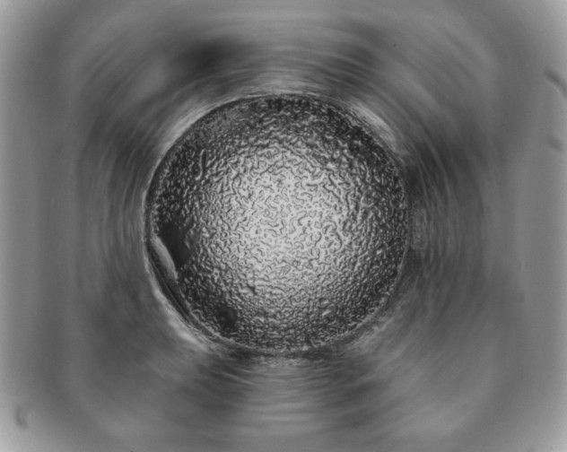 X0000091191039200708161546