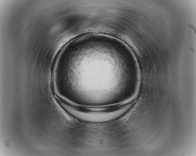 X0000091191040200708161546