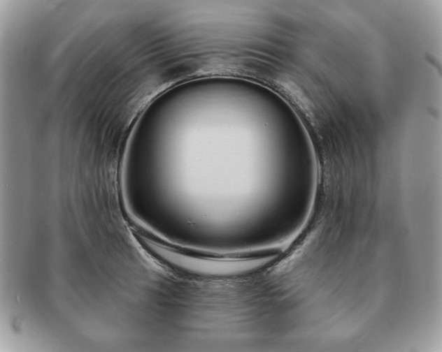 X0000091191041200708161546