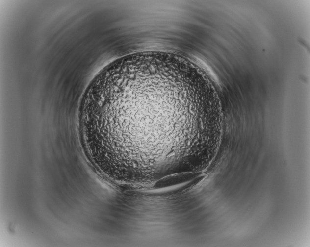 X0000091191043200708161546