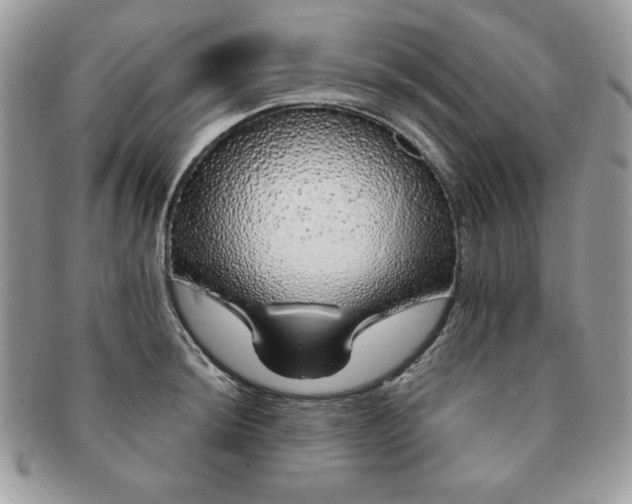 X0000091191044200708161546