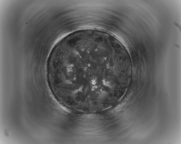 X0000091191045200708161546