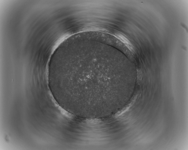 X0000091191046200708161546