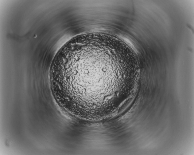X0000091191047200708161546