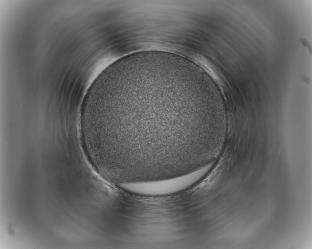 X0000091191048200708161546