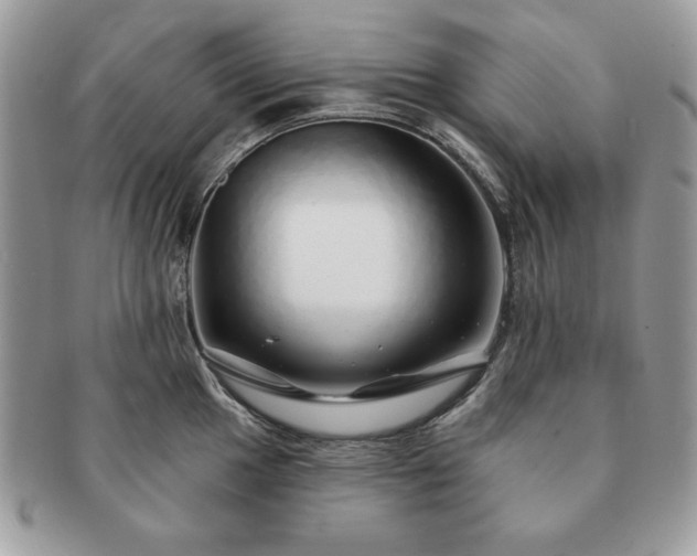 X0000091191049200708161546