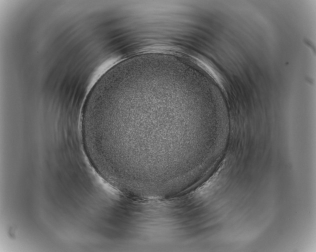X0000091191050200708161546