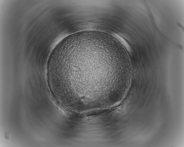 X0000091191051200708161546