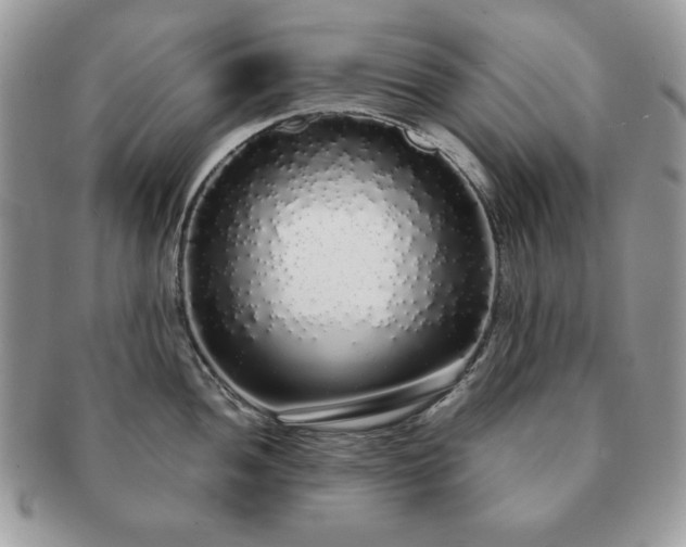 X0000091191052200708161546
