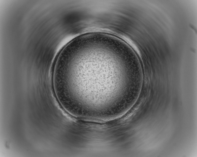 X0000091191053200708161546