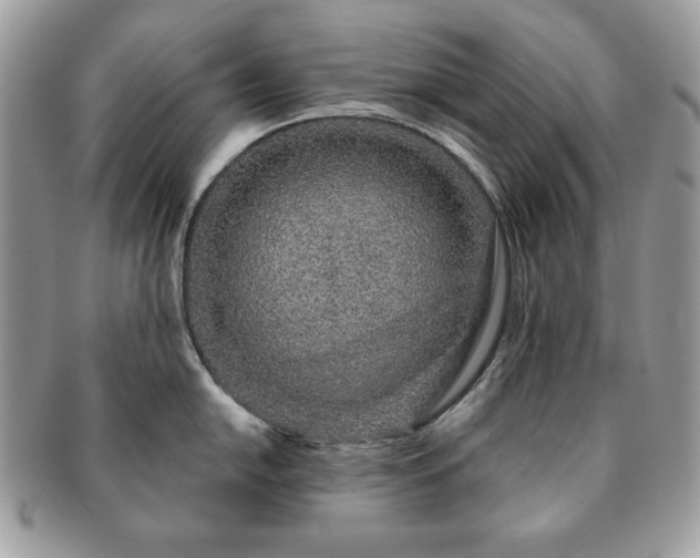 X0000091191054200708161546