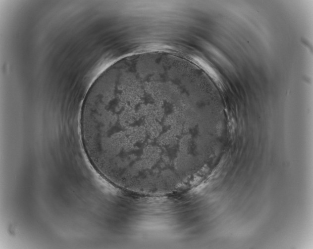 X0000091191055200708161546