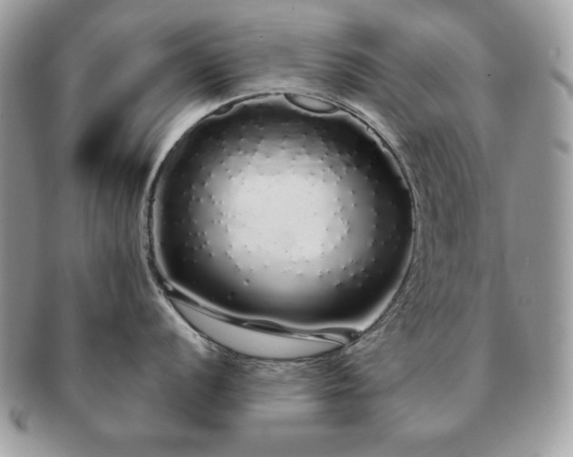X0000091191056200708161546