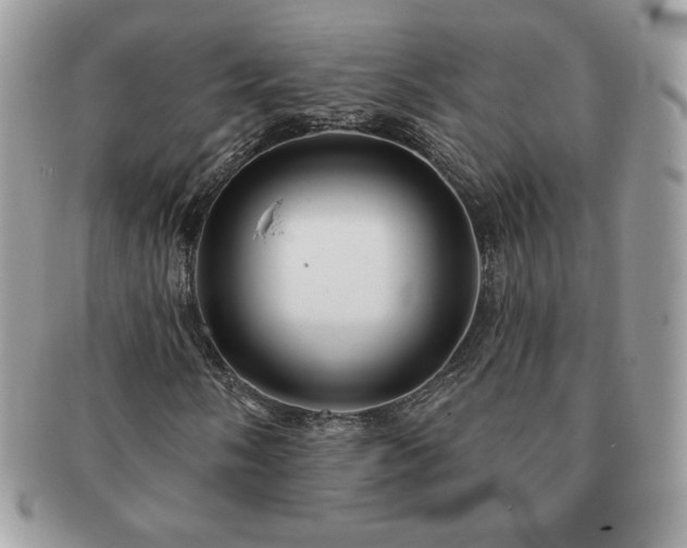 X0000091191058200708161545