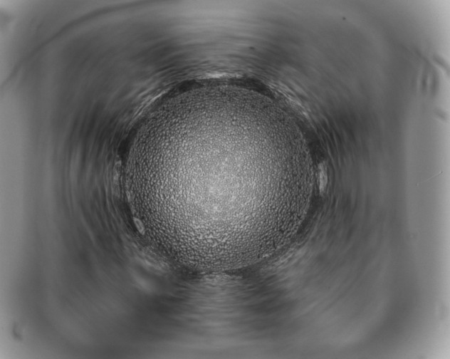 X0000091191059200708161545