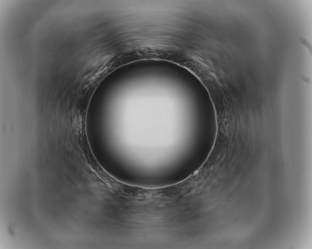 X0000091191061200708161545