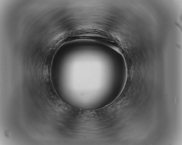 X0000091191062200708161545