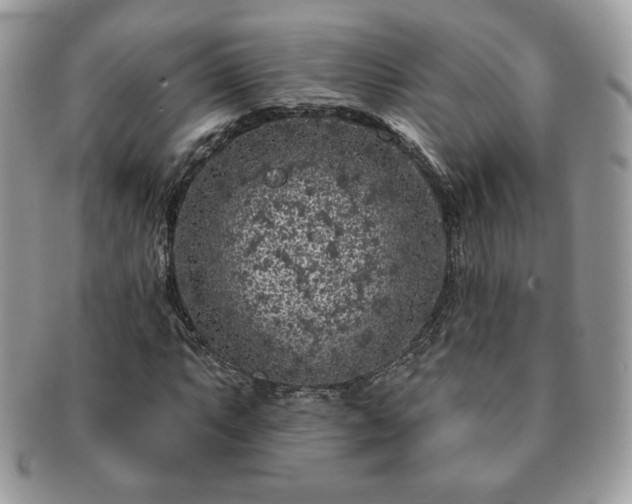 X0000091191063200708161545