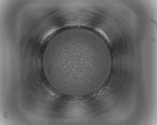 X0000091191064200708161545