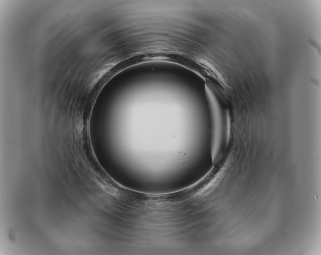 X0000091191065200708161545