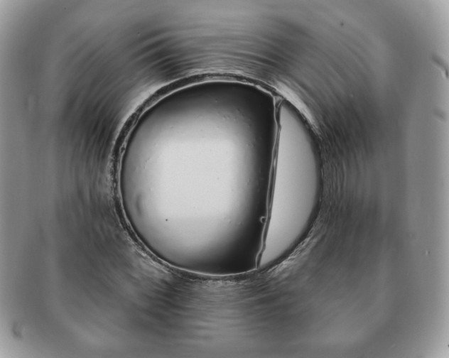 X0000091191068200708161545