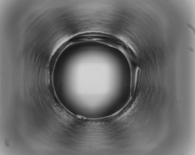 X0000091191069200708161545