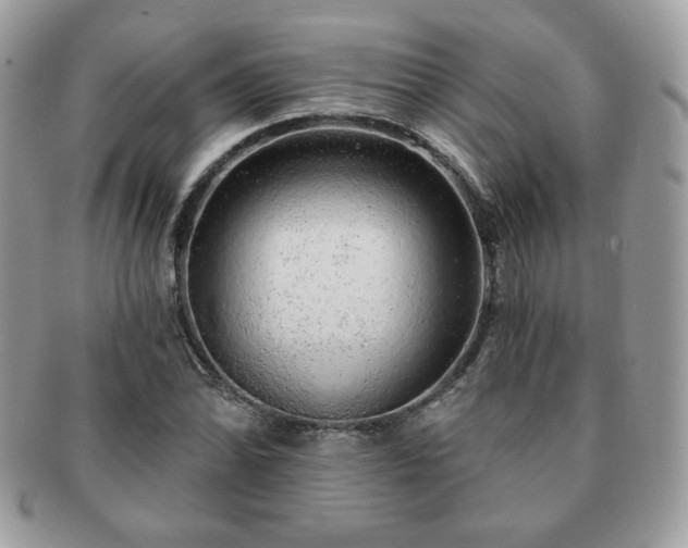 X0000091191070200708161545