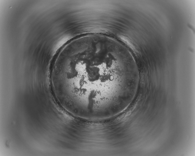 X0000091191071200708161545