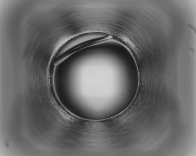 X0000091191072200708161545
