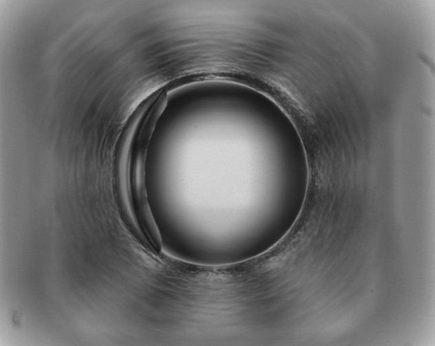 X0000091191073200708161545