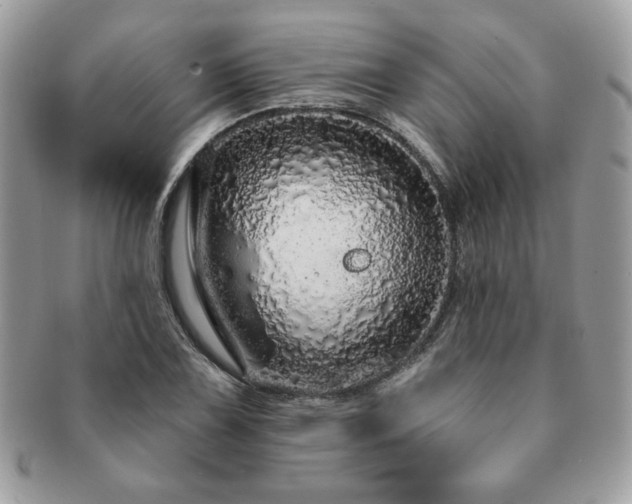 X0000091191075200708161545