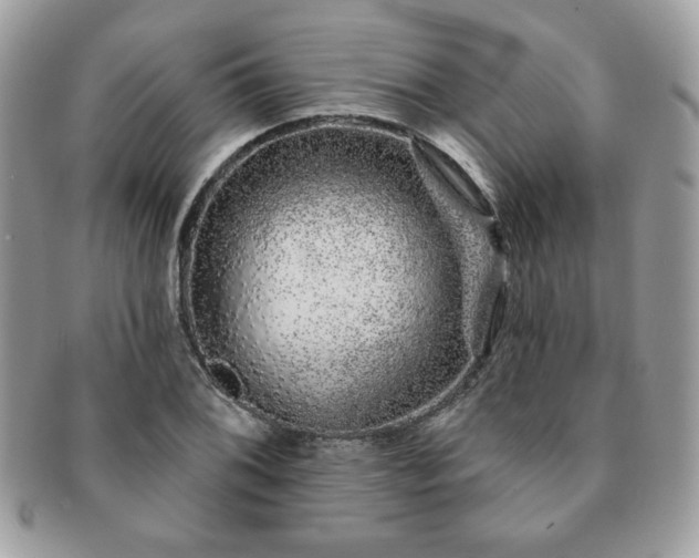 X0000091191076200708161545