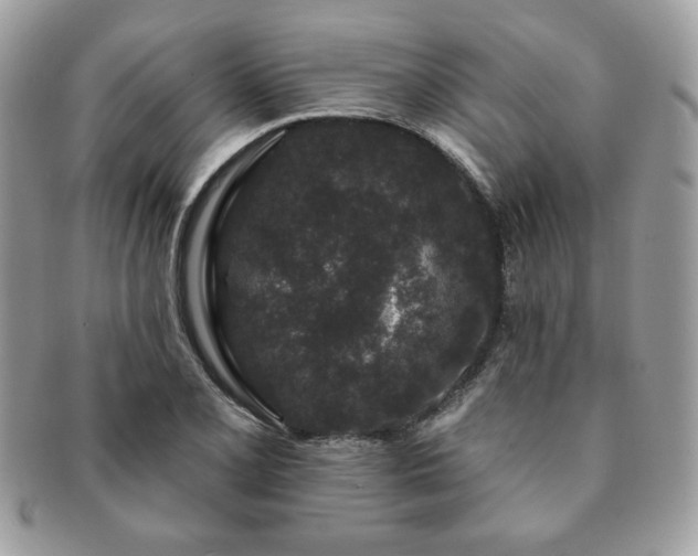 X0000091191077200708161545