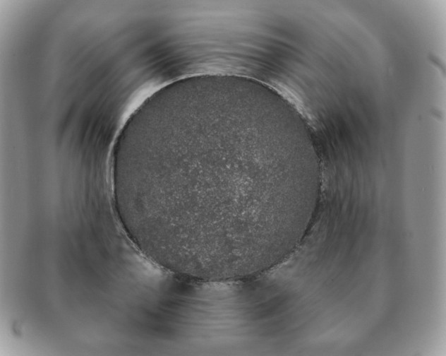 X0000091191078200708161545