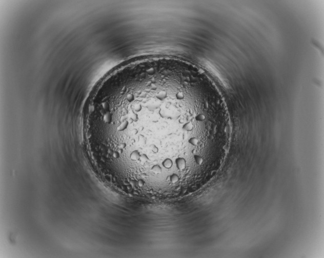 X0000091191079200708161545