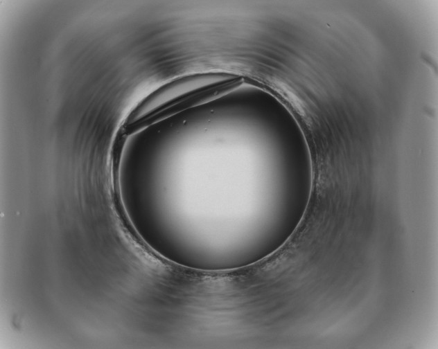 X0000091191080200708161545