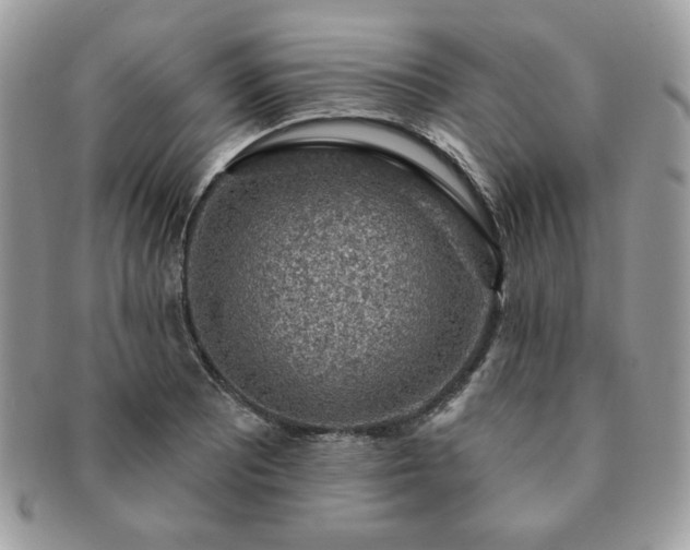 X0000091191081200708161545
