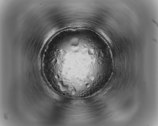 X0000091191083200708161545