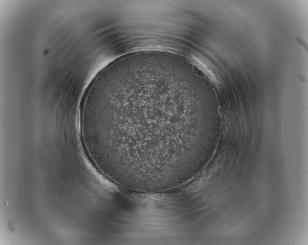 X0000091191084200708161545