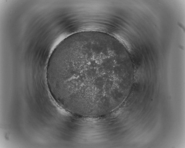 X0000091191086200708161545