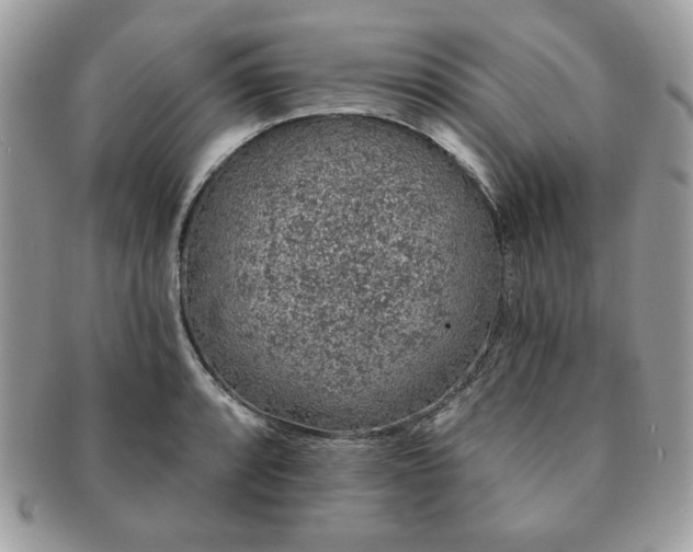 X0000091191088200708161545