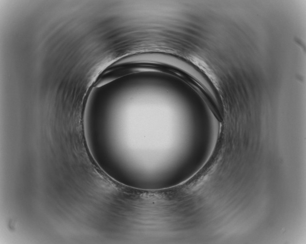 X0000091191089200708161545