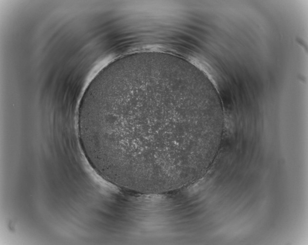 X0000091191090200708161545