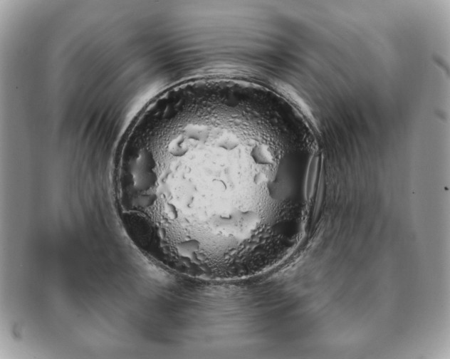 X0000091191091200708161545