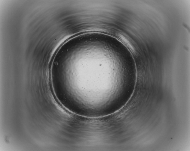 X0000091191092200708161545