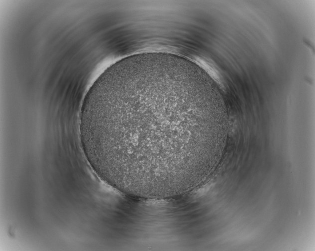 X0000091191094200708161545