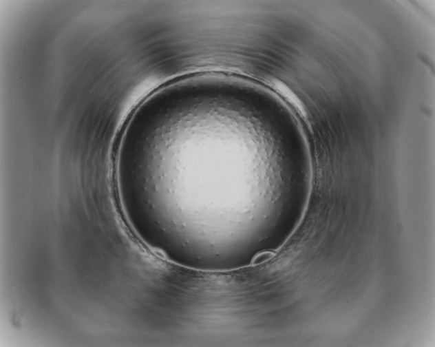X0000091191096200708161545