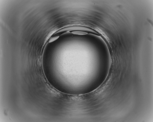 X0000091191097200708161545