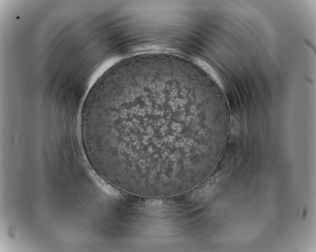 X0000091191098200708161545