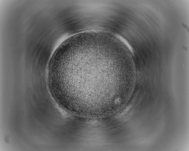X0000091191099200708161544